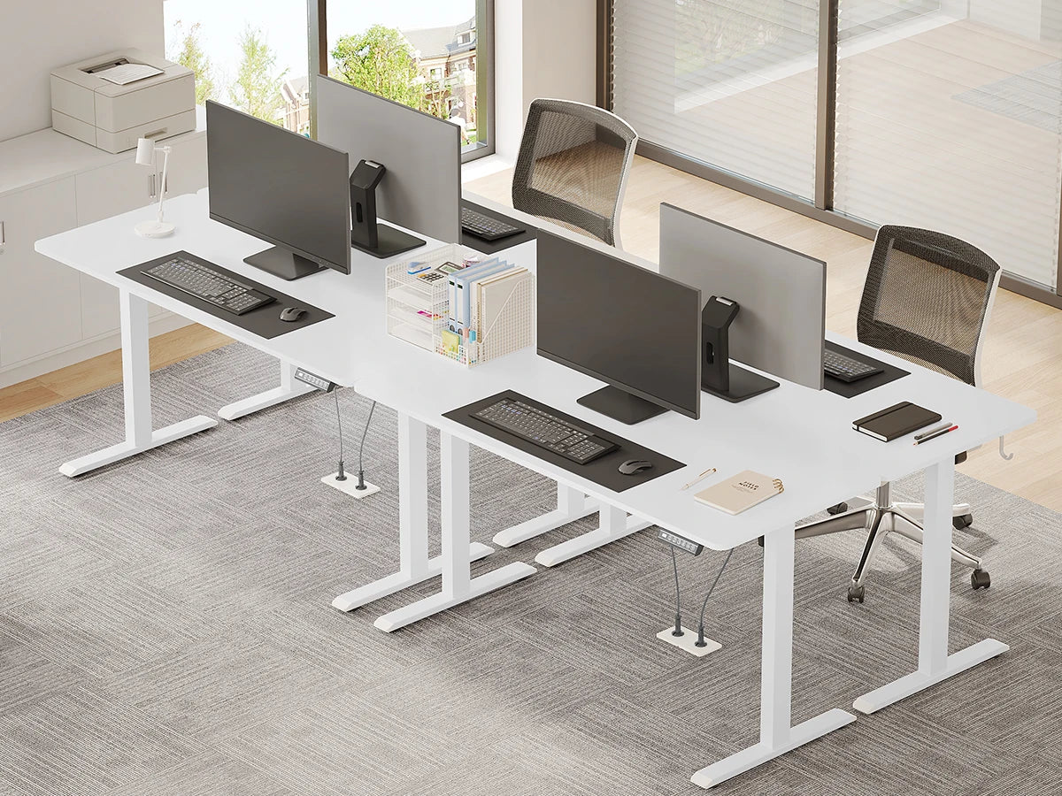 WOLTU Electric Standing Computer Desk Height Adjustable Ergonomic Work Table with USB Charging Port with Memory Control
