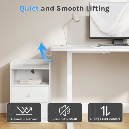 WOLTU Electric Standing Computer Desk Height Adjustable Ergonomic Work Table with USB Charging Port with Memory Control