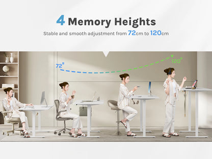 WOLTU Electric Standing Computer Desk Height Adjustable Ergonomic Work Table with USB Charging Port with Memory Control