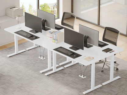 WOLTU Electric Standing Computer Desk Height Adjustable Ergonomic Work Table with USB Charging Port with Memory Control